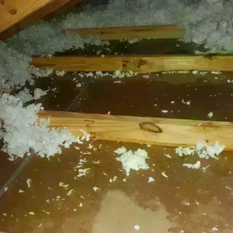 Attic Water Damage in Mountain City, GA