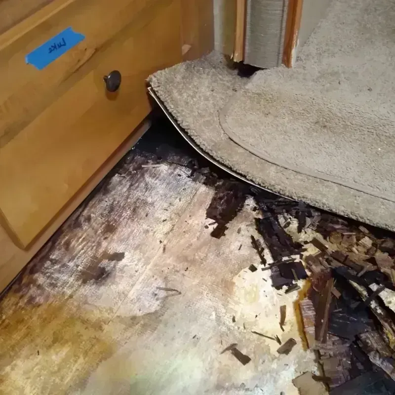 Wood Floor Water Damage in Mountain City, GA